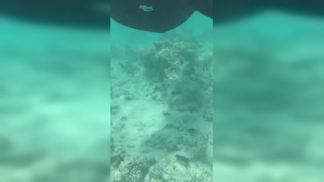 水下世界的秘密，探索神秘的水下录像技术