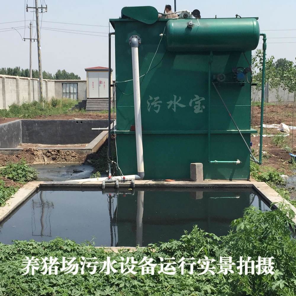 养猪场污水处理，环保与可持续发展的关键议题
