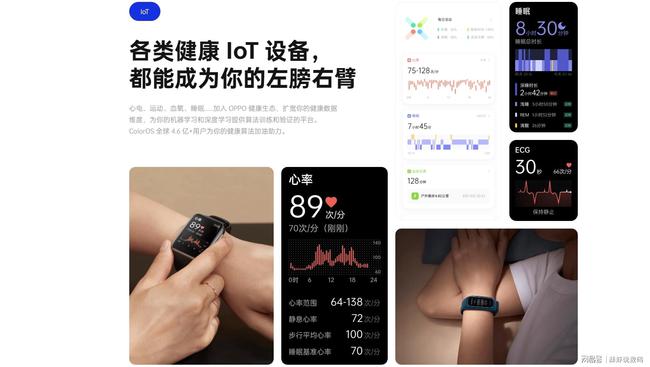 蜜桃导航，探索数字时代的全新体验