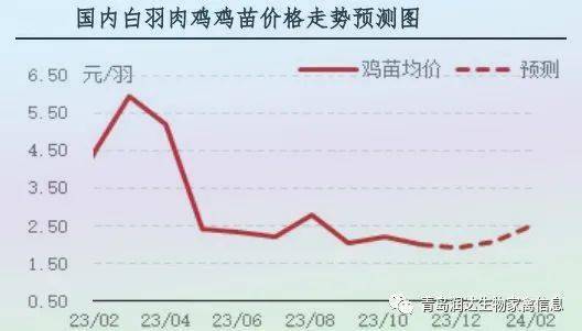 鸡肉价格走势图，市场波动与影响因素分析