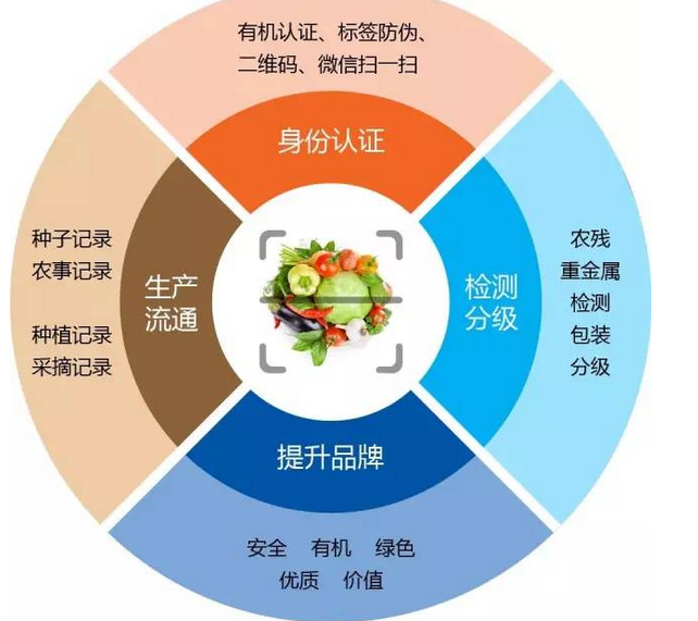 第409页