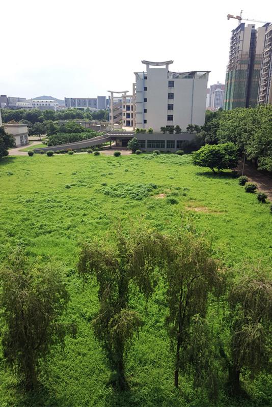 顺德家具网，引领家居潮流的先锋力量