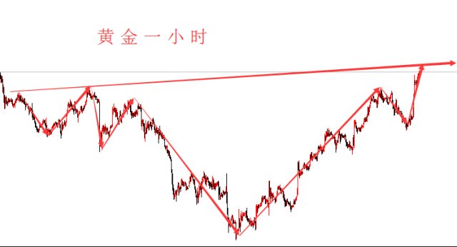 20年白芨市场风云变幻，价格行情走势分析