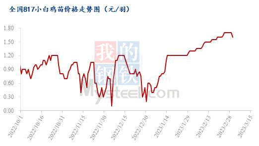 鸡苗价格最新行情分析