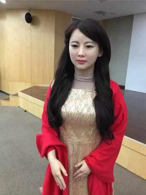 家用美女机器人价格及其市场影响