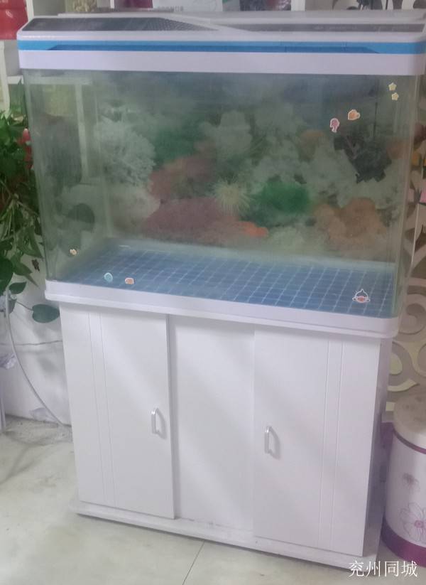 第347页