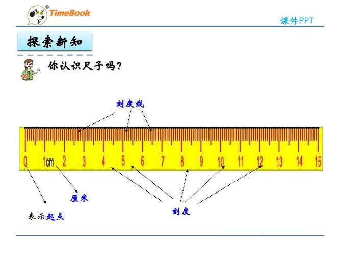 刻度尺图片1比一的精确解读