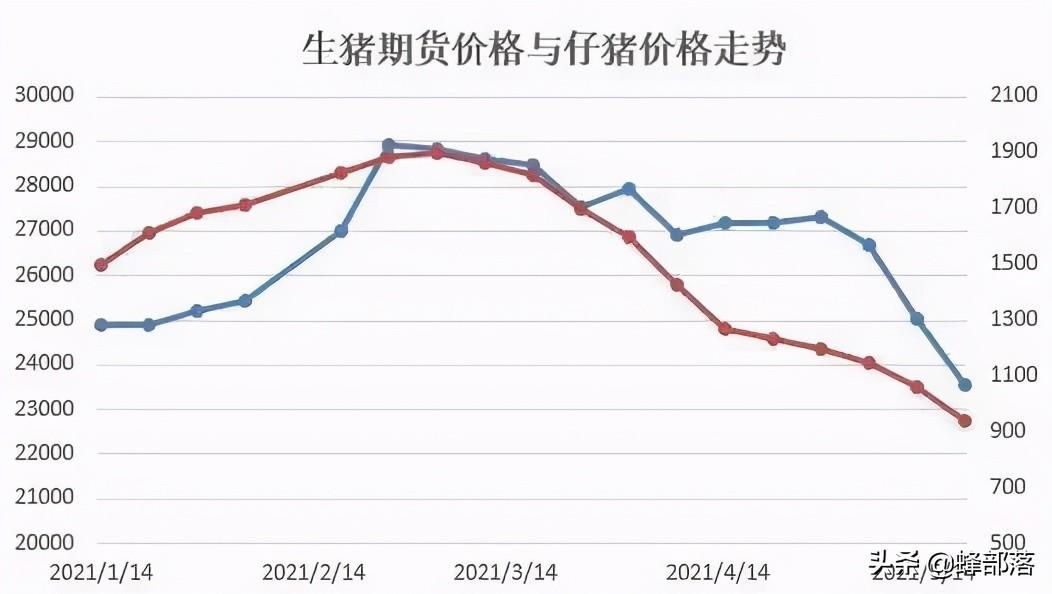 猪肉价格走势图，分析与展望