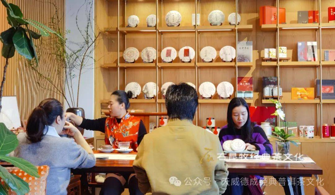 品茗俱乐部，探索茶文化的魅力与乐趣