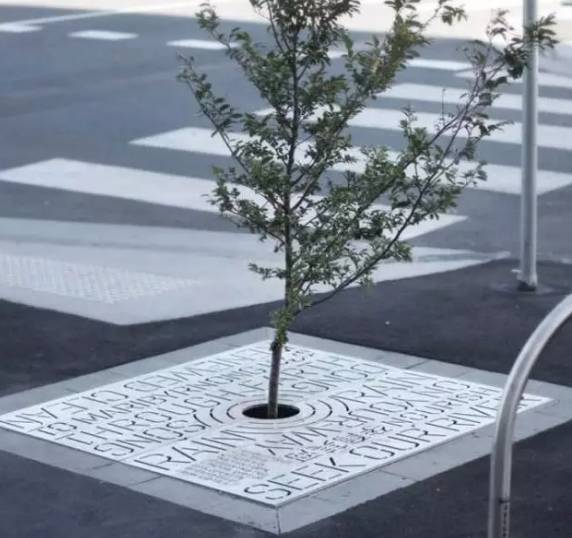 树池篦子，城市绿化中的细节之美