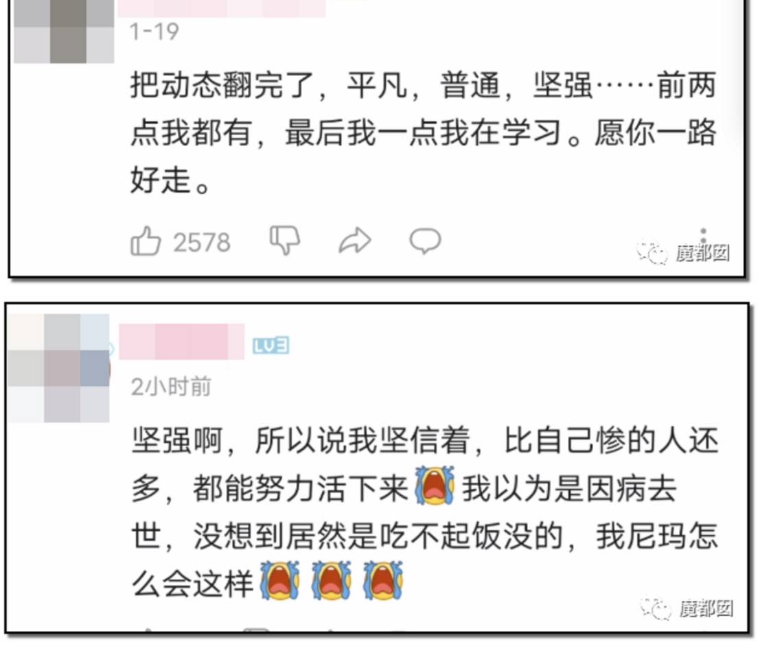 今日的大乐的最新开奖结果与数据分析报告