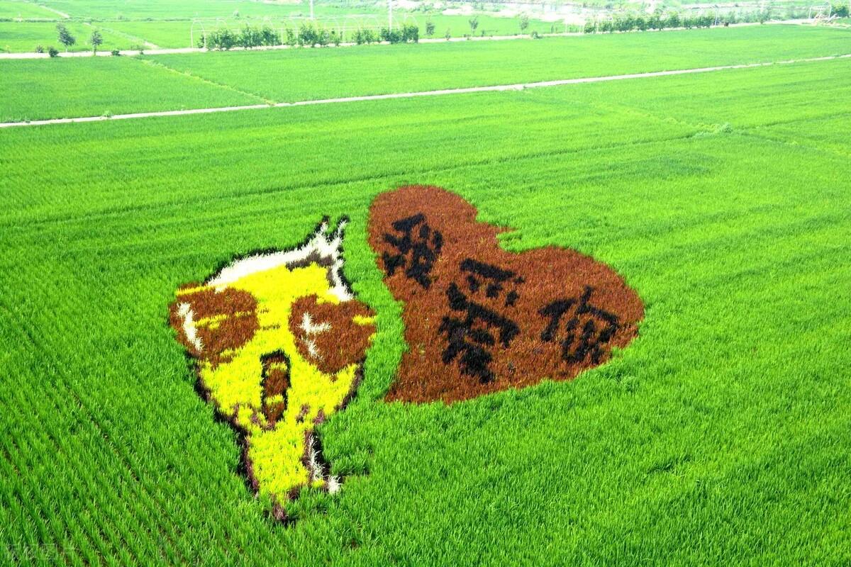 辽宁3d预测