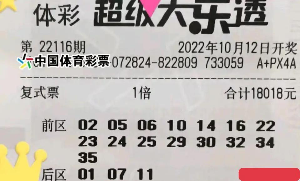 大乐透胆拖复式价格一览表