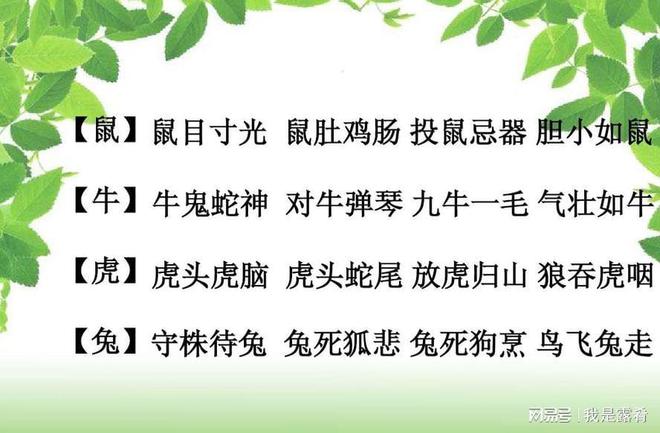 十二生肖的由来教案
