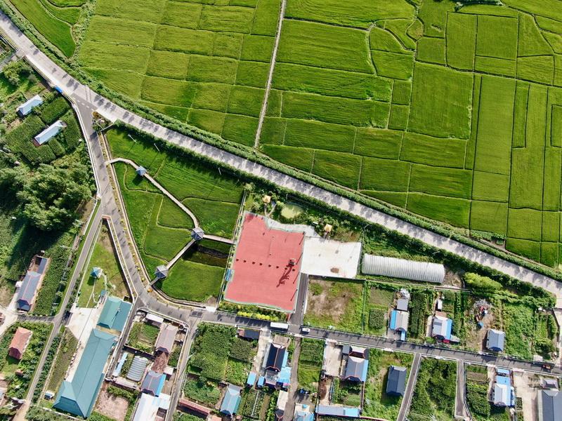 吉林市十一选五
