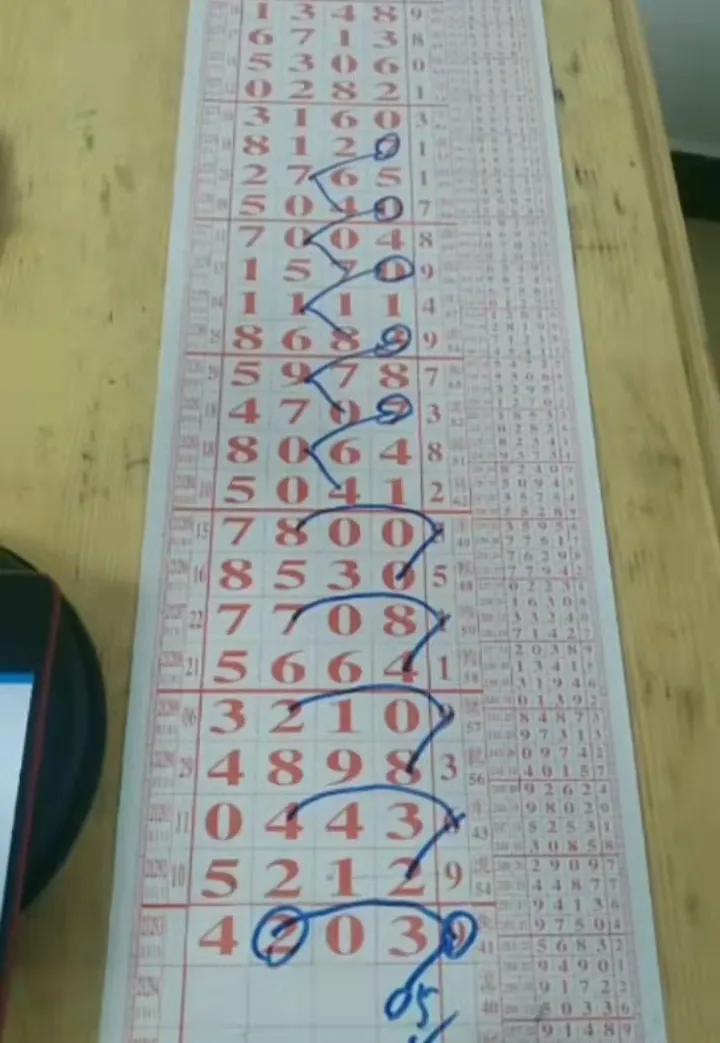 辽宁体彩11远5走势图