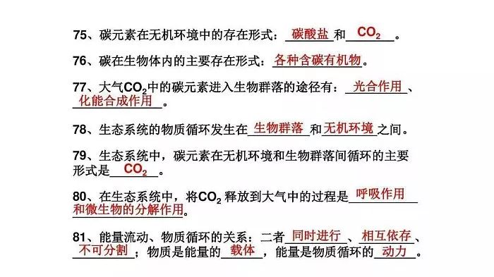 独胆计划王三天必下