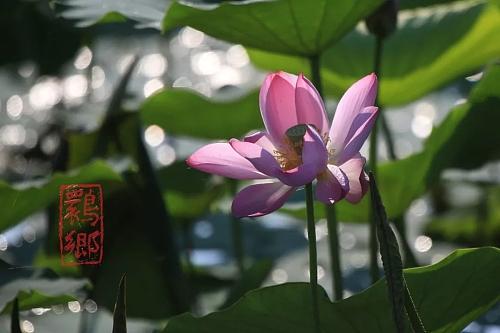 福彩3D乐在其中，探索与体验多彩彩票世界
