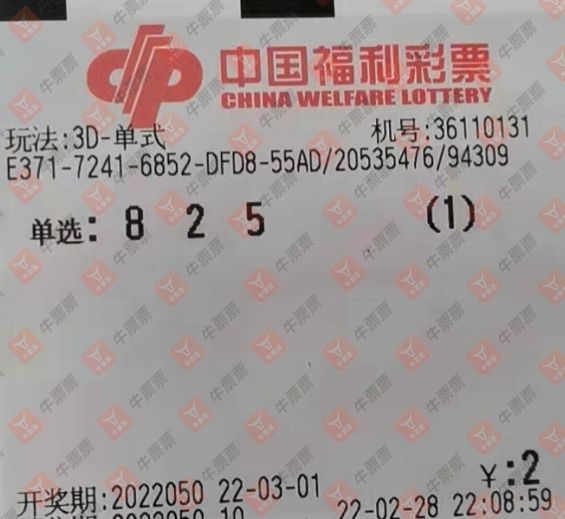 河南福利彩票网，探索数字彩世界的魅力与责任