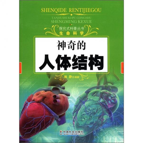 探索三毛图库，3的奇妙世界