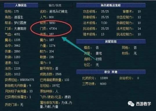 双色球201期开奖号码分析，揭秘幸运之门背后的秘密（标题）