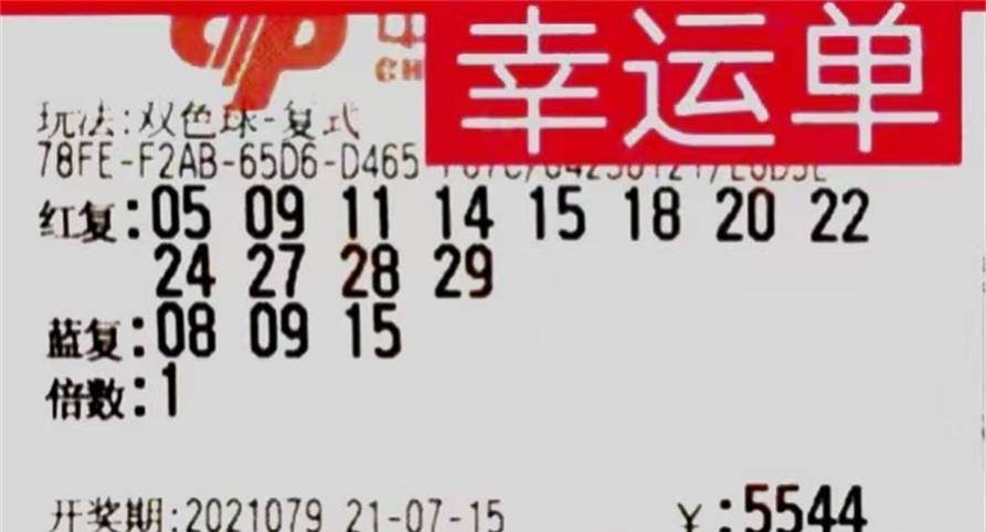 彩神彩票网，探索数字梦想的舞台