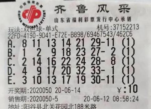 双色球10%中奖秘籍，揭秘彩票背后的秘密