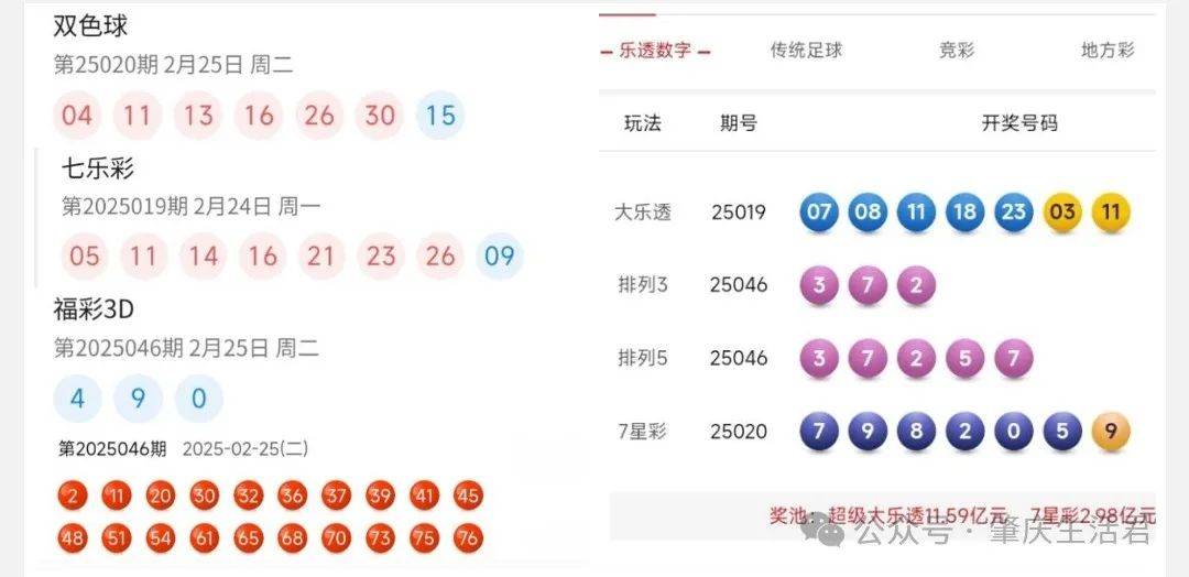 澳门最快开奖结果，揭秘彩票背后的魅力与期待