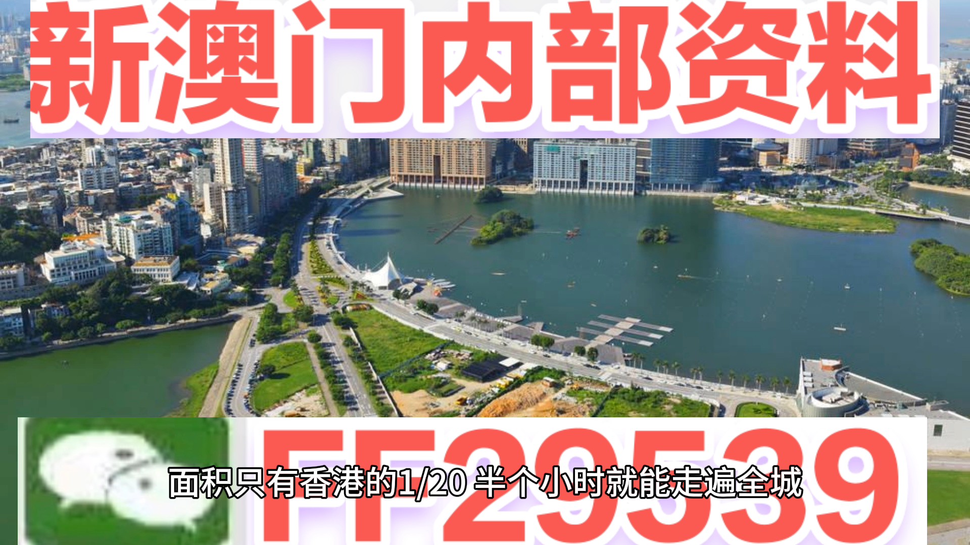 2025年6月1日 第8页