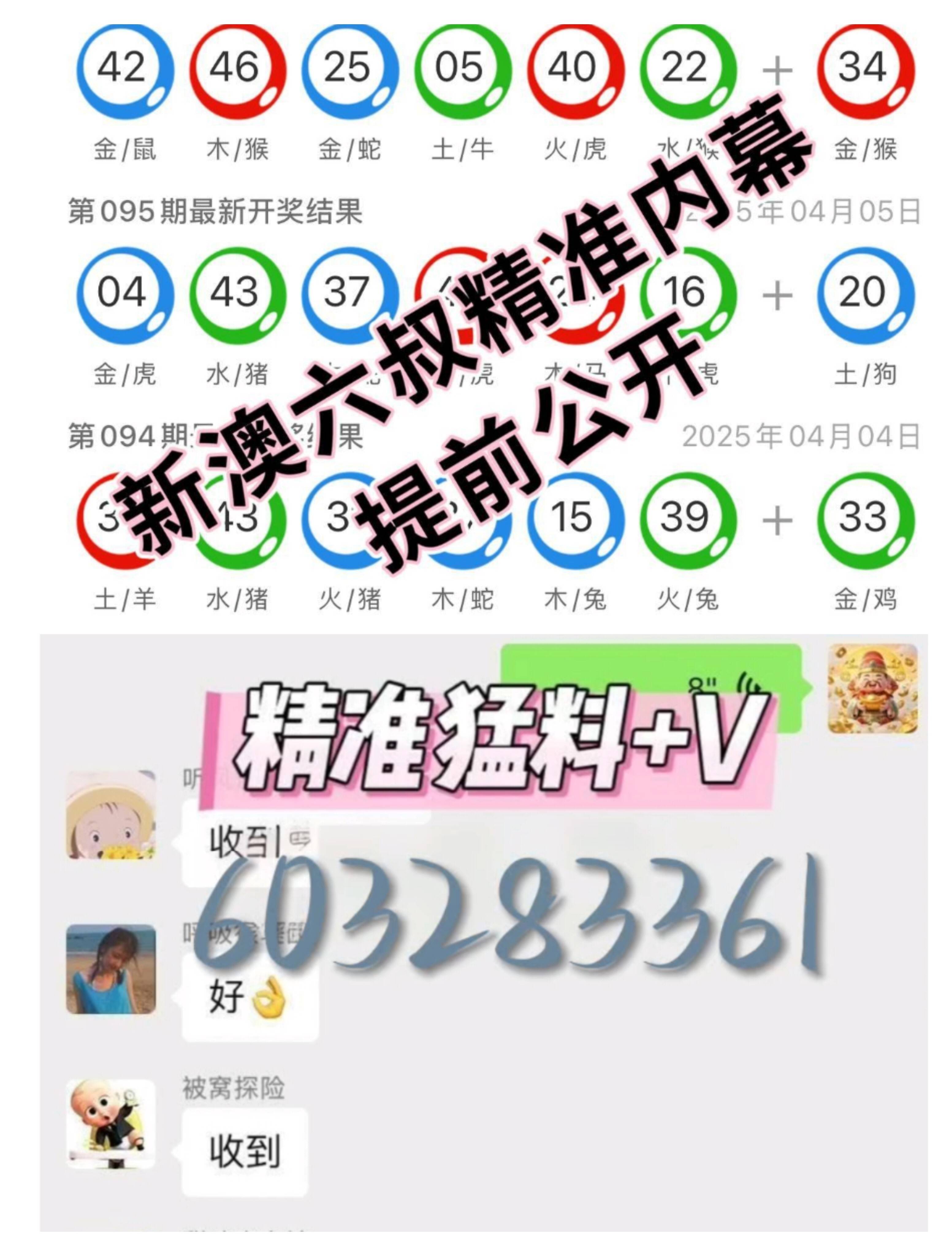 澳门彩民网资料，探索与解析
