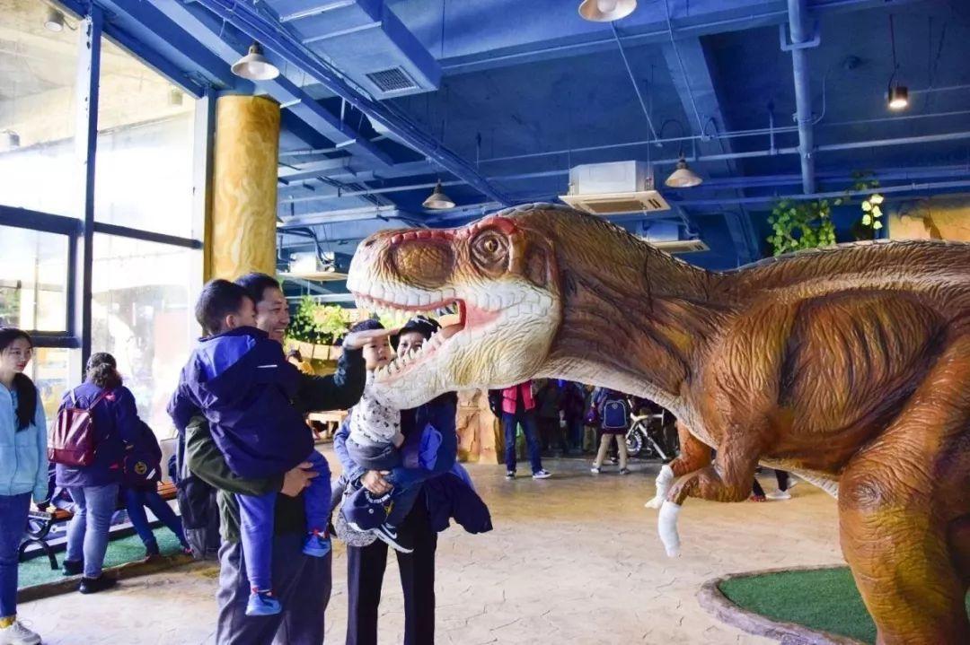 探索神奇的3D图片世界