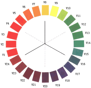色吧1 探究色彩世界的魅力与影响