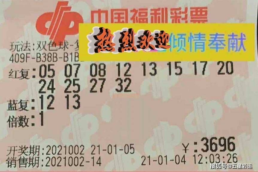 双色球59，揭秘彩票背后的故事