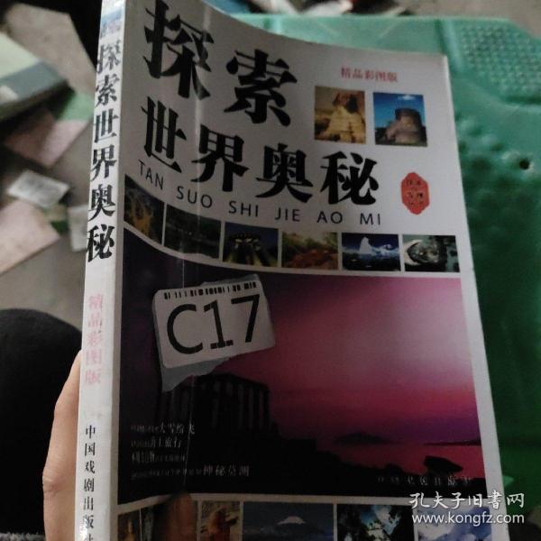 真精华布衣，探索牛彩网中的秘密与机遇