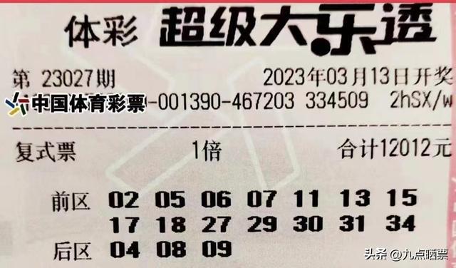 大乐透字诗图论坛，探索文化与技术的交融之地