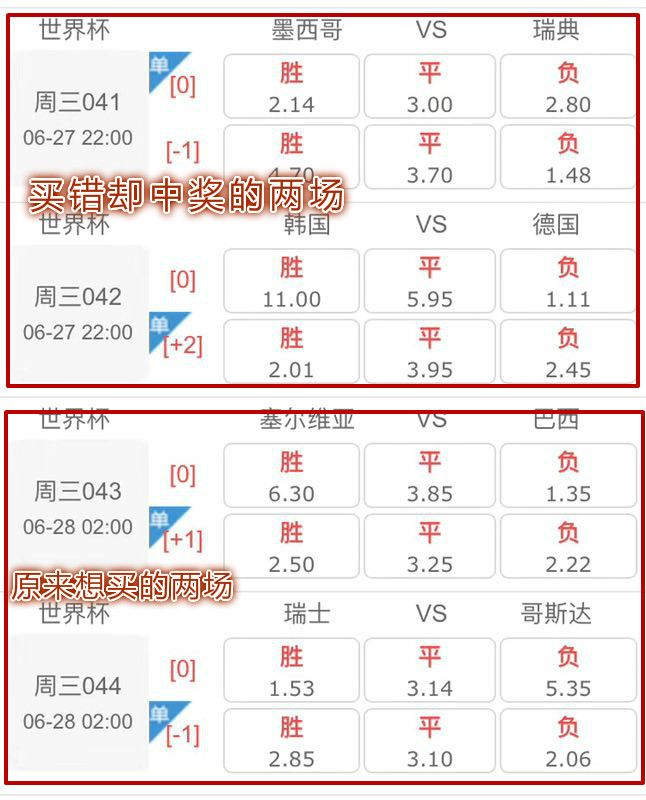世界杯体育彩票结果，激情与期待的碰撞